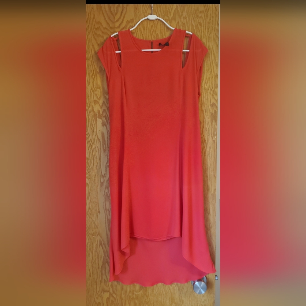 BCBG Dress